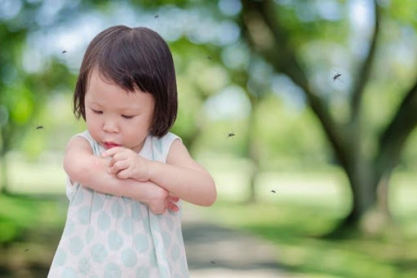 Bố mẹ cần làm gì khi trẻ bị côn trùng cắn?